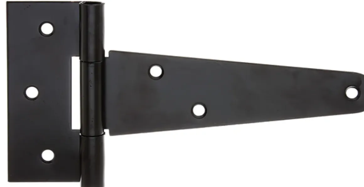 Alberts Lang Scharnier + Geniete Pen 202/77X48Mm