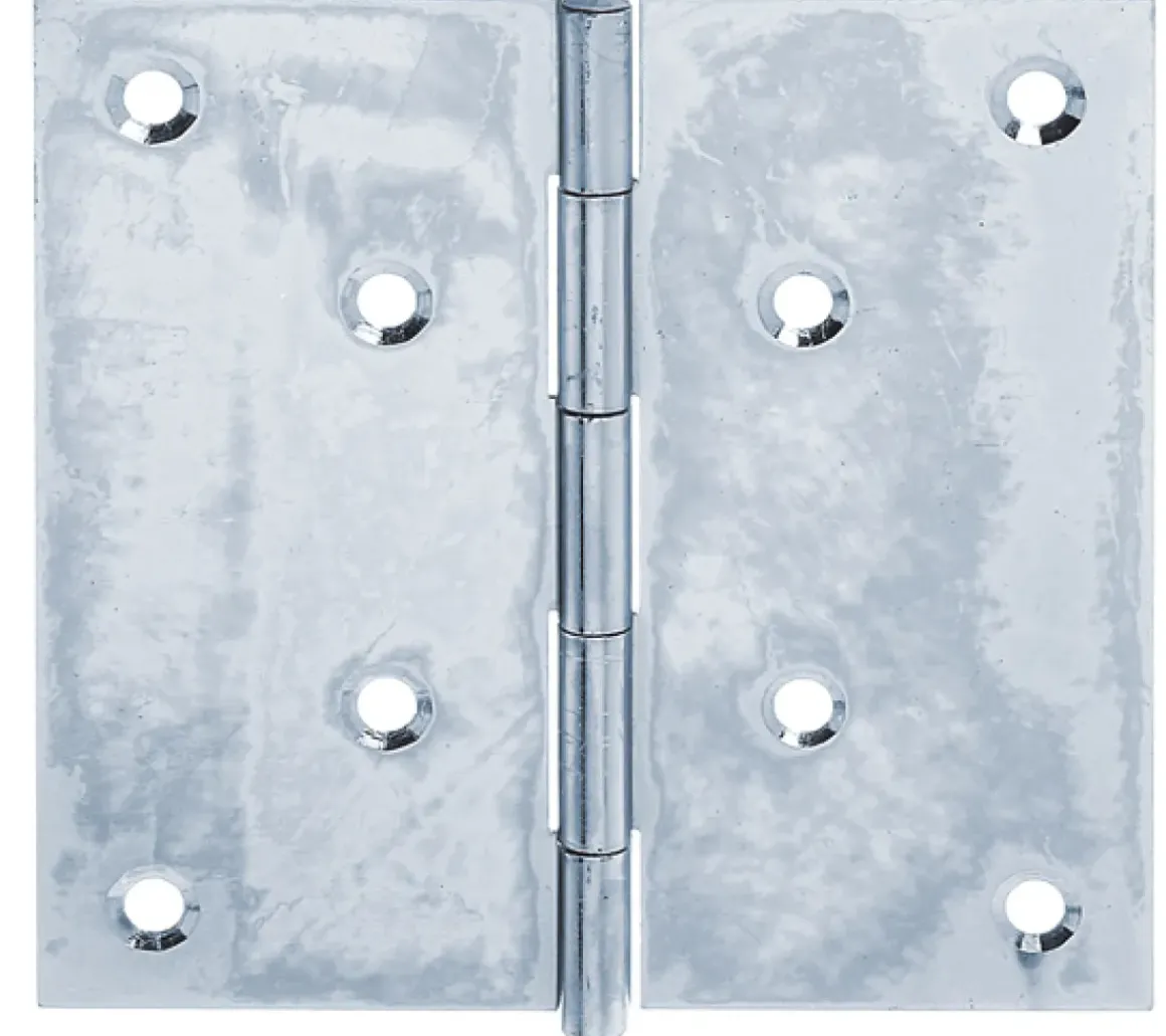 Alberts Lang Scharnier + Geniete Pen 302/77X48Mm