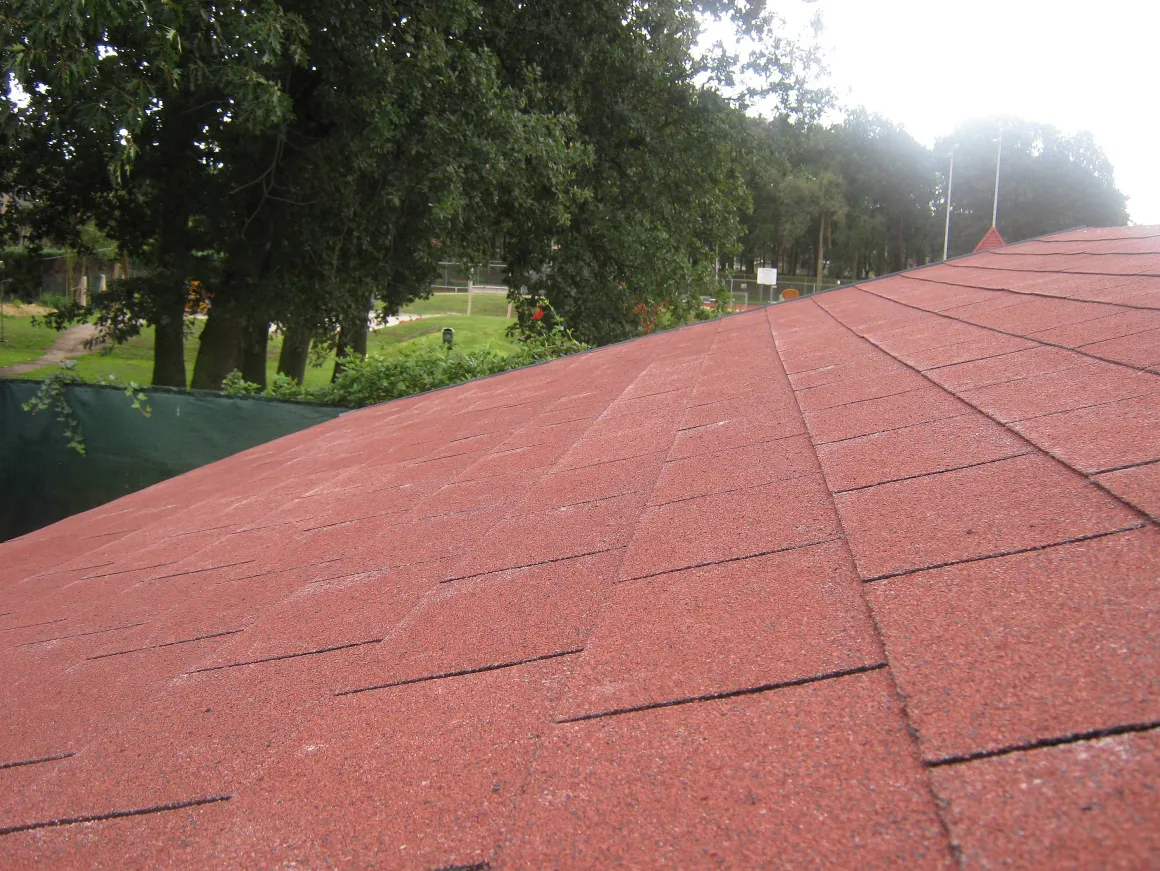 Aquaplan Dakshingle Easy-Shingle Standaard Rood 2M²