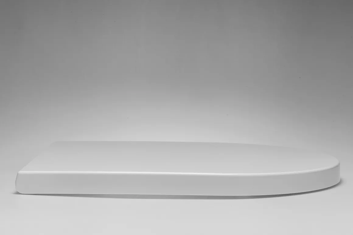 Aquazuro Toiletzitting D-Vorm Murano Duroplast Wit