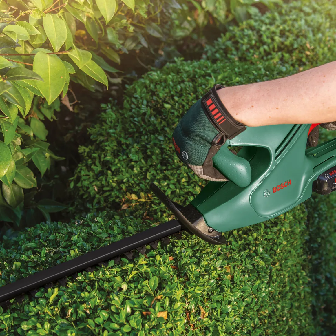 Bosch Heggenschaar Op Accu Easyhedgecut 18-45 18V (Zonder Accu)