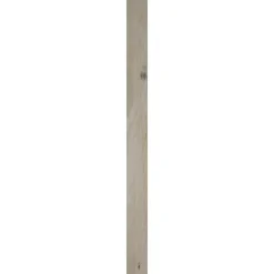 Cando Steigerhout 30X195Mm Lichtgrijs 250Cm