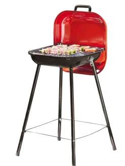 Central Park Barbecue Pic Nic Rood 42X42Cm