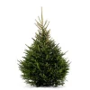 Central Park Kerstboom Epicea 150-175Cm