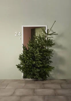 Central Park Kerstboom Nordmann Gekapt 100-150Cm