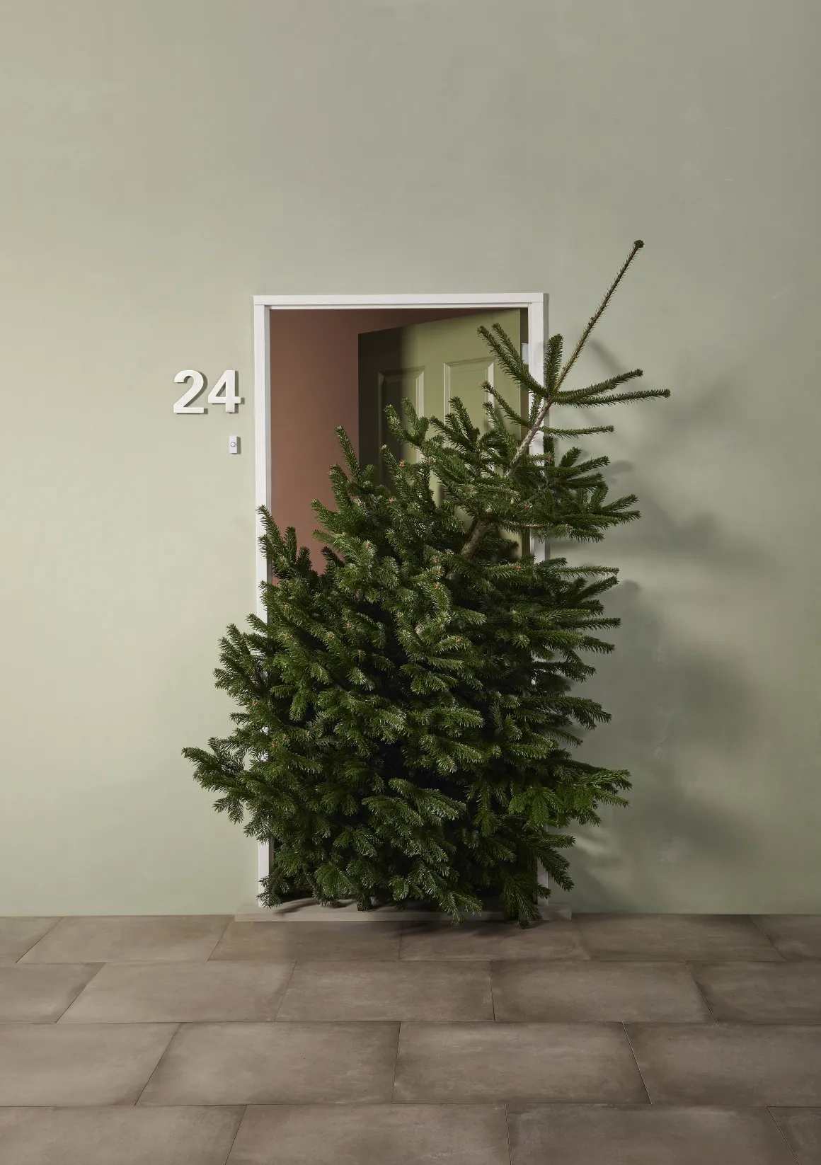 Central Park Kerstboom Nordmann 80-100Cm