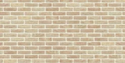 Coeck Gevelsteen Anderlecht Mod50 190X90X50Mm