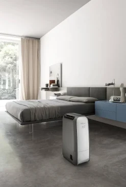 De'Longhi Luchtontvochtiger Dns80