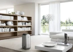 De'Longhi Luchtontvochtiger Dns80