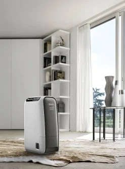 De'Longhi Luchtontvochtiger Dns65