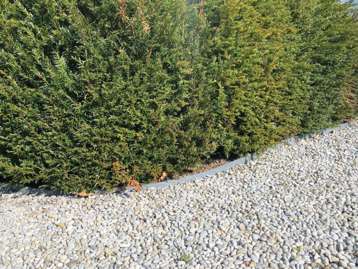 Eco Edge Kantopsluiting Rol - Zwart - 1000 X 14 X 0,7 Cm