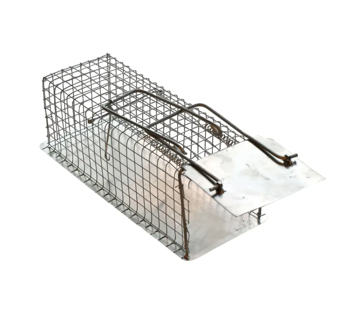 Edialux Rattenvangkooi Met 1 Ingang