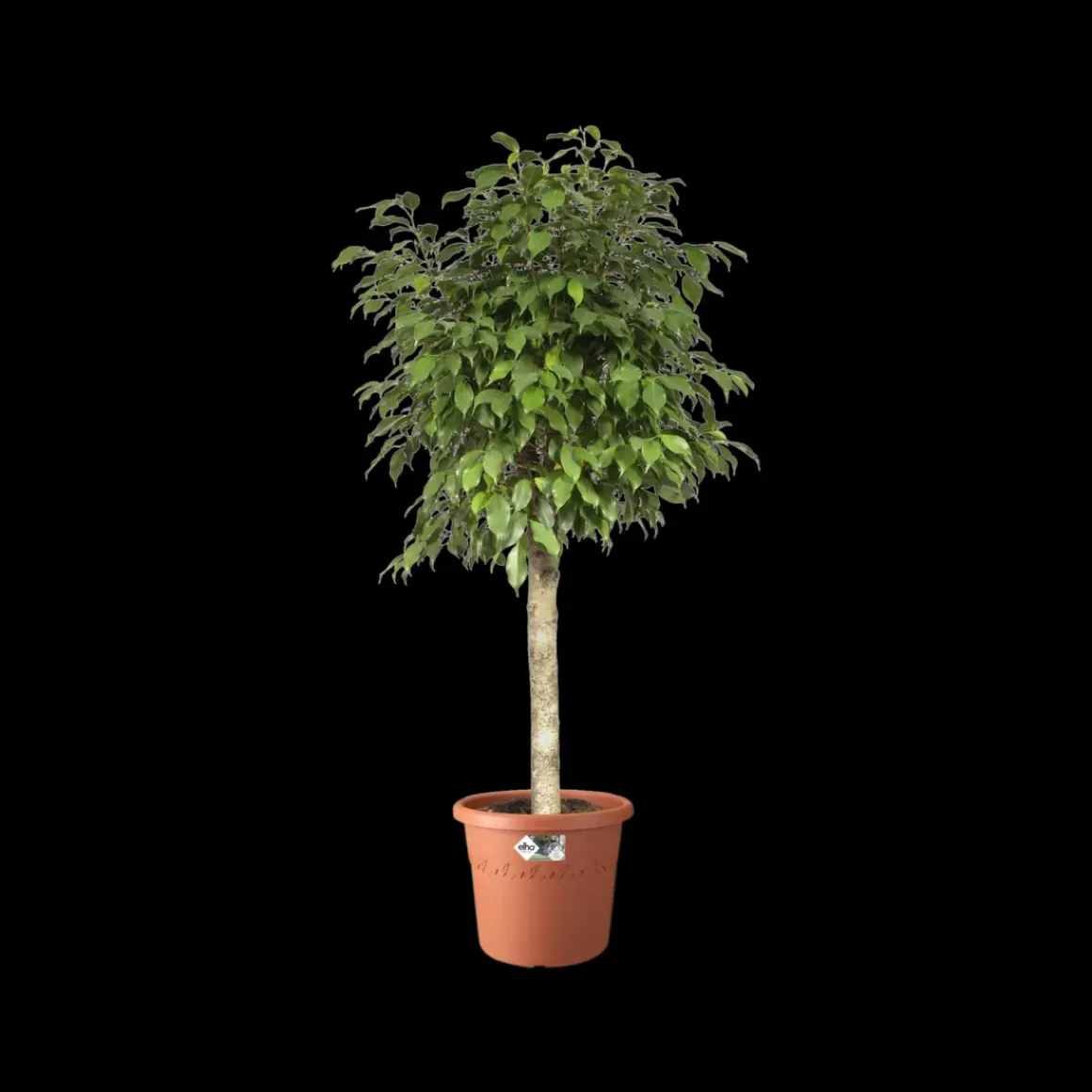 Elho Bloempot Algarve Cilindro Rond O21Cm Terra