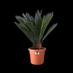 Elho Bloempot Algarve Cilindro Rond Wielen O40Cm Terra