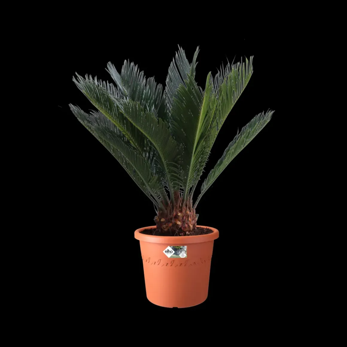 Elho Bloempot Algarve Cilindro Rond Wielen O40Cm Terra