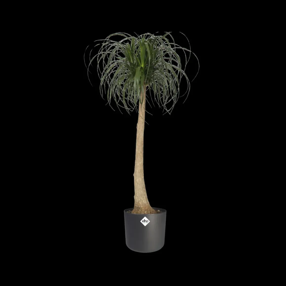 Elho Bloempot B. For Soft Rond O14Cm Antraciet