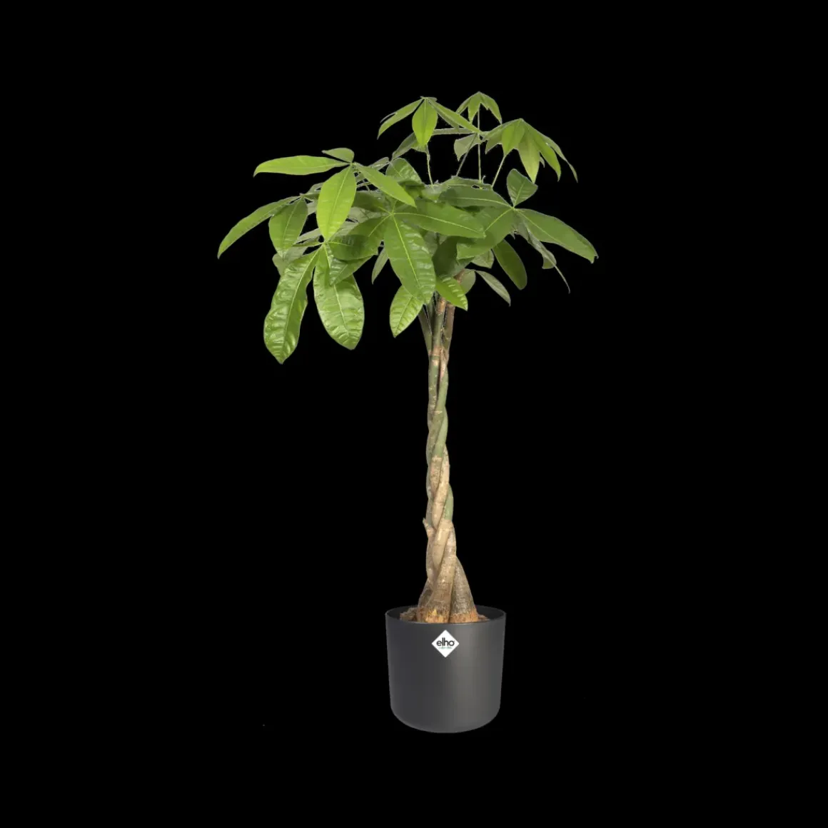 Elho Bloempot B. For Soft Rond O14Cm Antraciet