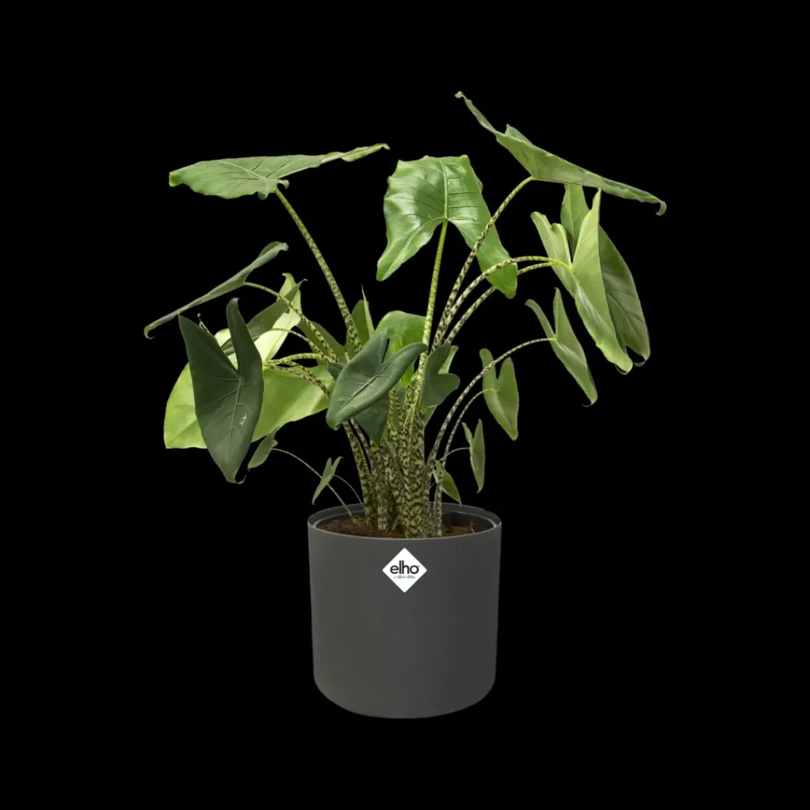 Elho Bloempot B. For Soft Rond O14Cm Antraciet
