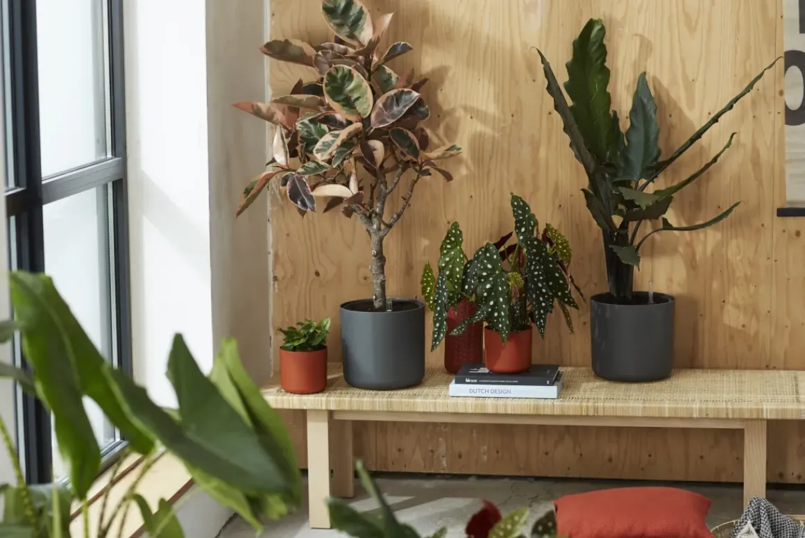Elho Bloempot B.For Soft Rond O30Cm Antraciet