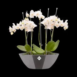Elho Bloempot Brussels Diamond Ovaal 36Cm Oyster Pearl