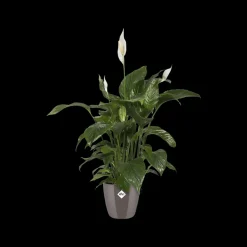 Elho Bloempot Brussels Diamond Rond O25Cm Oyster Pearl