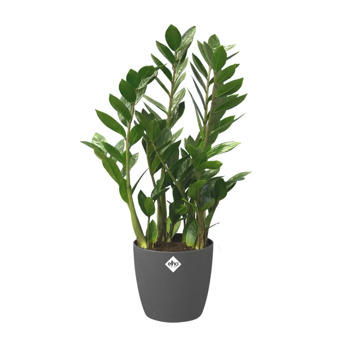Elho Bloempot Brussels Rond Wielen O40Cm Antraciet