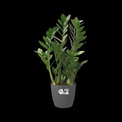 Elho Bloempot Brussels Rond Wielen O35Cm Antraciet