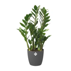 Elho Bloempot Brussels Rond Wielen O35Cm Antraciet