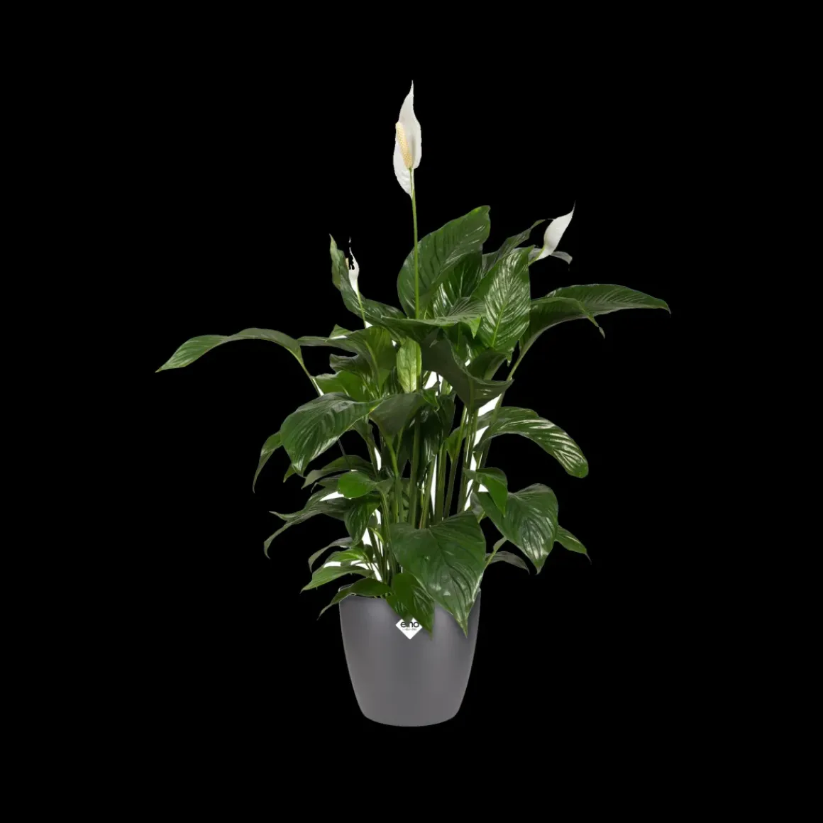 Elho Bloempot Brussels Rond O16Cm Antraciet