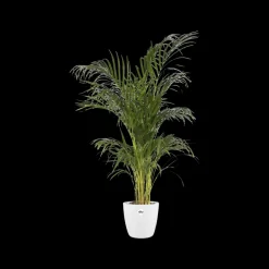Elho Bloempot Brussels Rond O25Cm Wit
