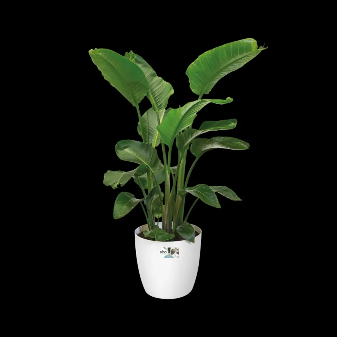 Elho Bloempot Brussels Rond Wielen O35Cm Wit