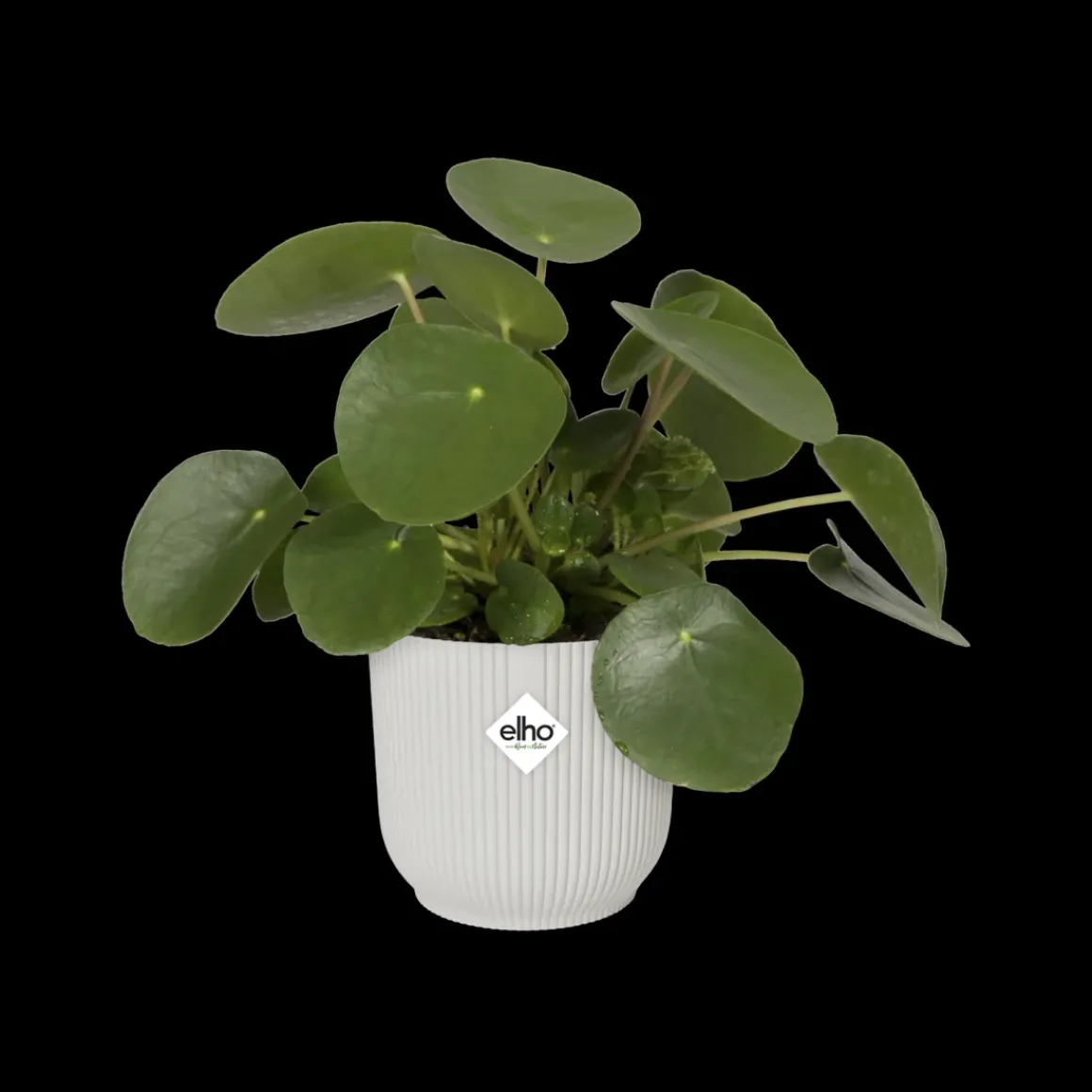 Elho Bloempot Vibes Fold Rond O30Cm Wit
