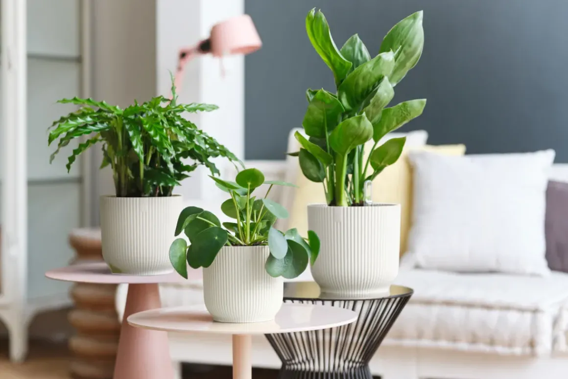 Elho Bloempot Vibes Fold Rond O30Cm Wit