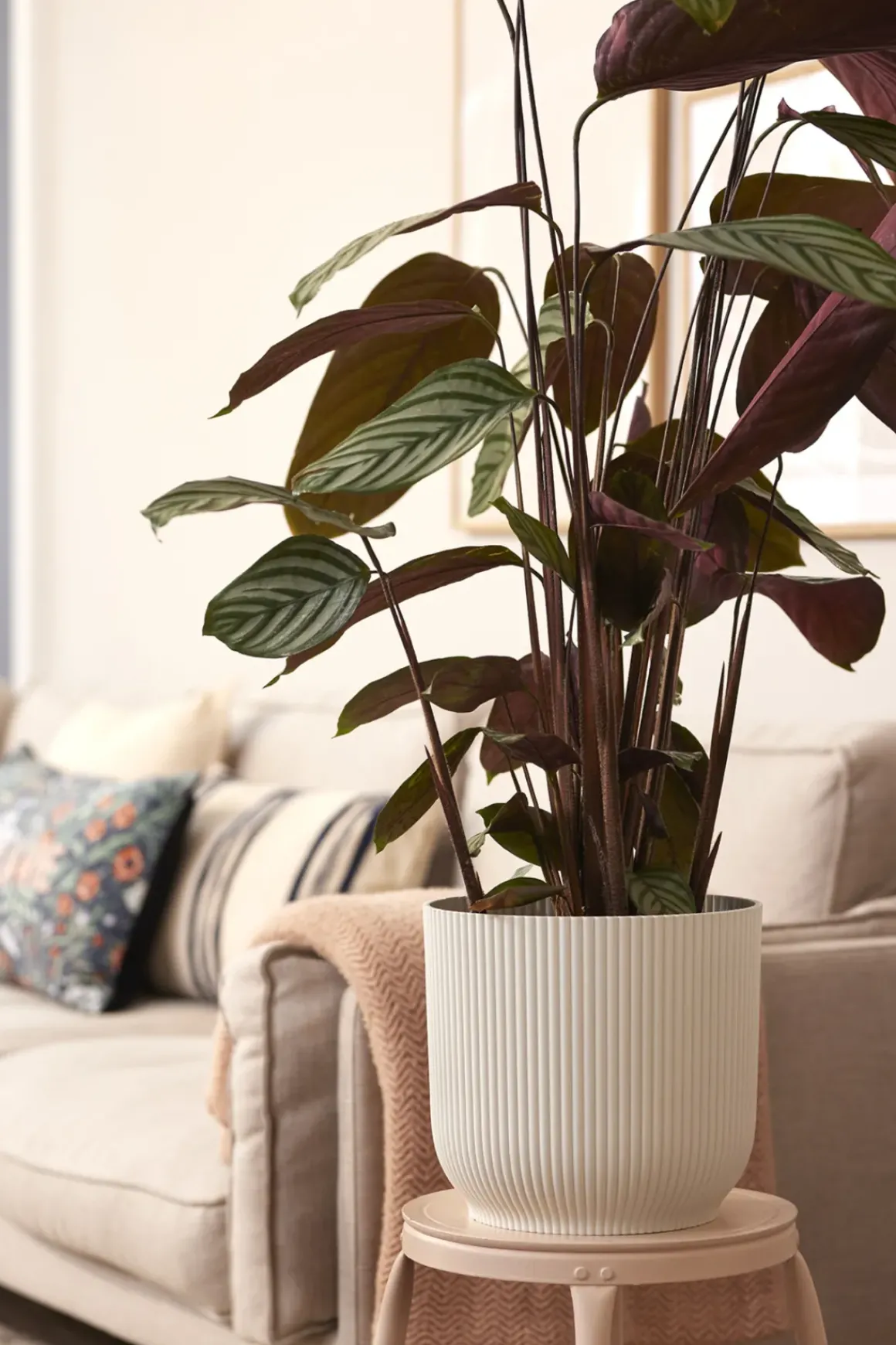 Elho Bloempot Vibes Fold Rond O30Cm Wit
