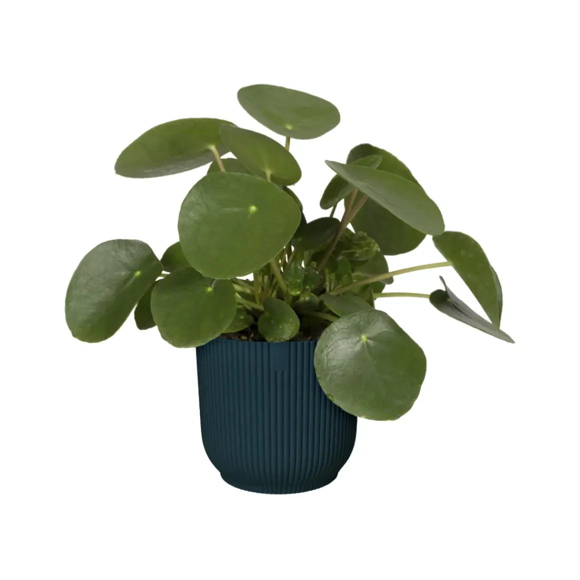 Elho Bloempot Vibes Fold Rond O22Cm Deep Blue
