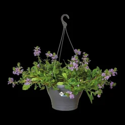 Elho Hangschaal Corsica O30Cm Antraciet