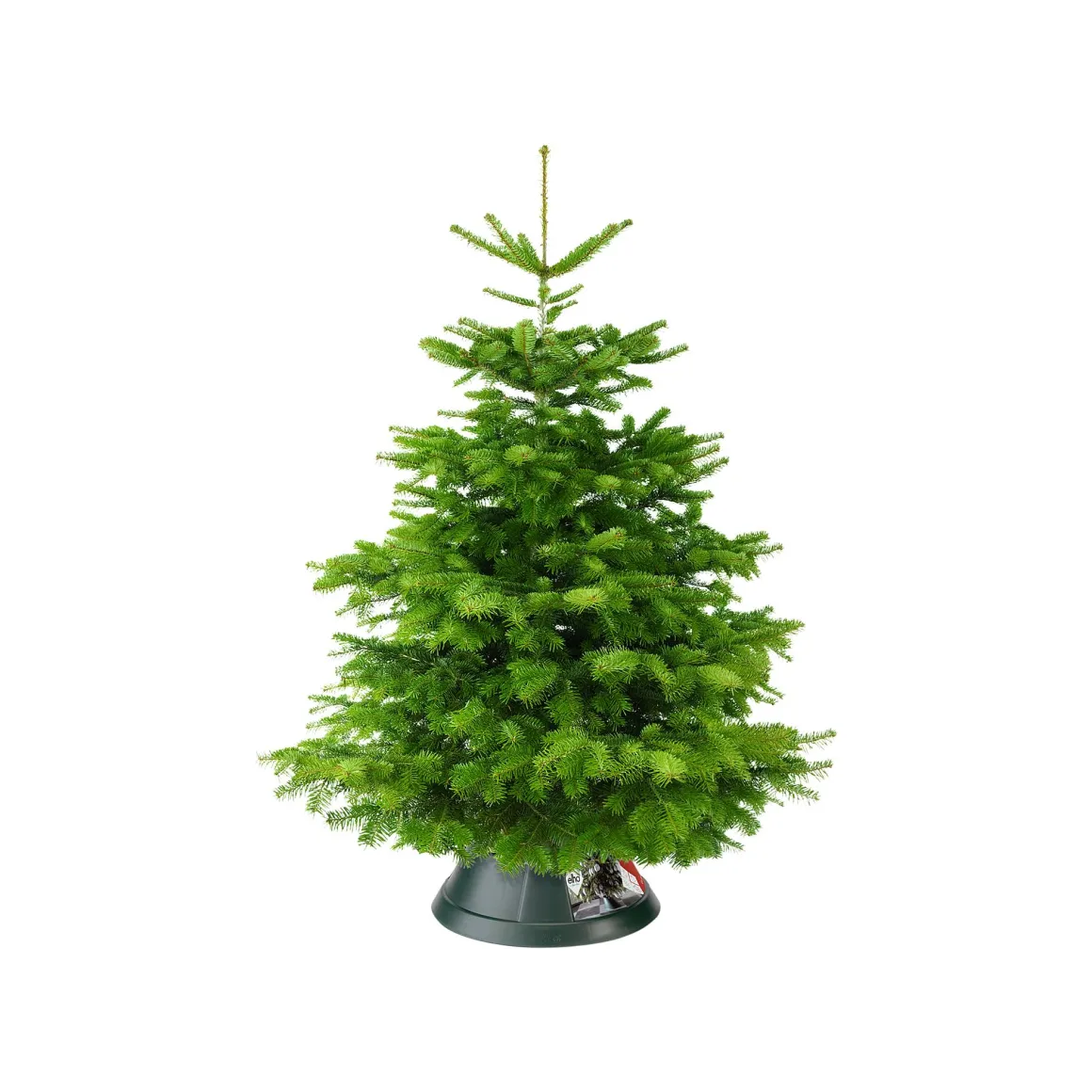 Elho Kerstboomvoet Nordman Groen 39Cm