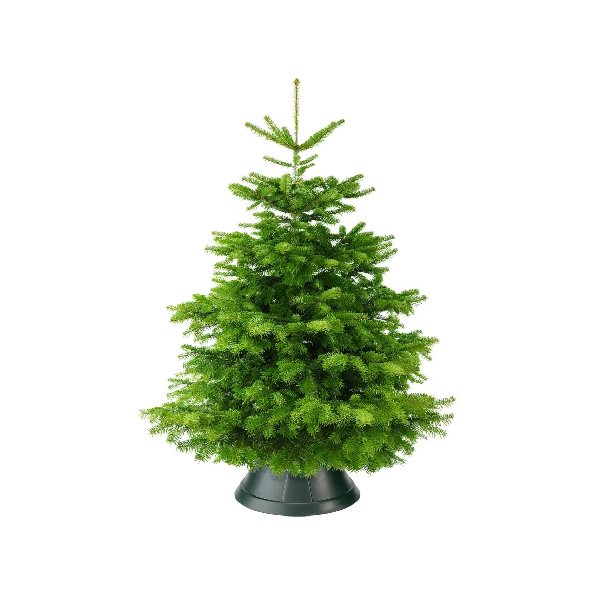 Elho Kerstboomvoet Nordman Groen 39Cm