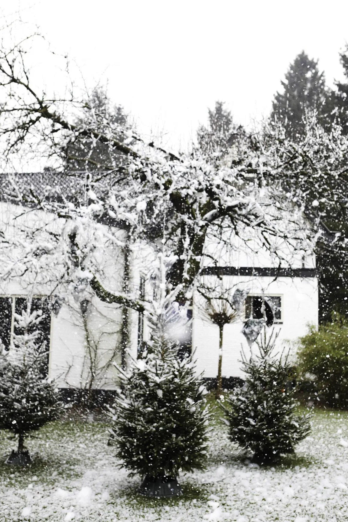 Elho Kerstboomvoet Nordman Groen 39Cm