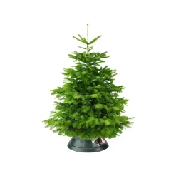 Elho Kerstboomvoet Nordman Groen 52Cm