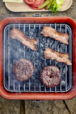 Everdure Cube Houtskool Barbecue Grijs 38,4X31,6X22,4Cm