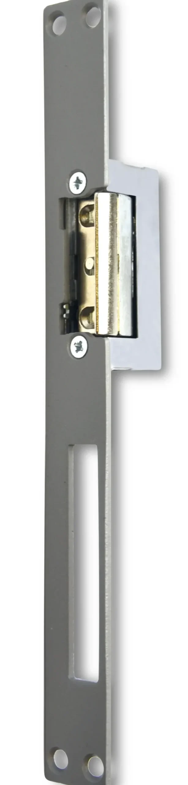 Extel-Ingebouwde Elektrische Deuropener Met Slotdoorgang-Weca 90301