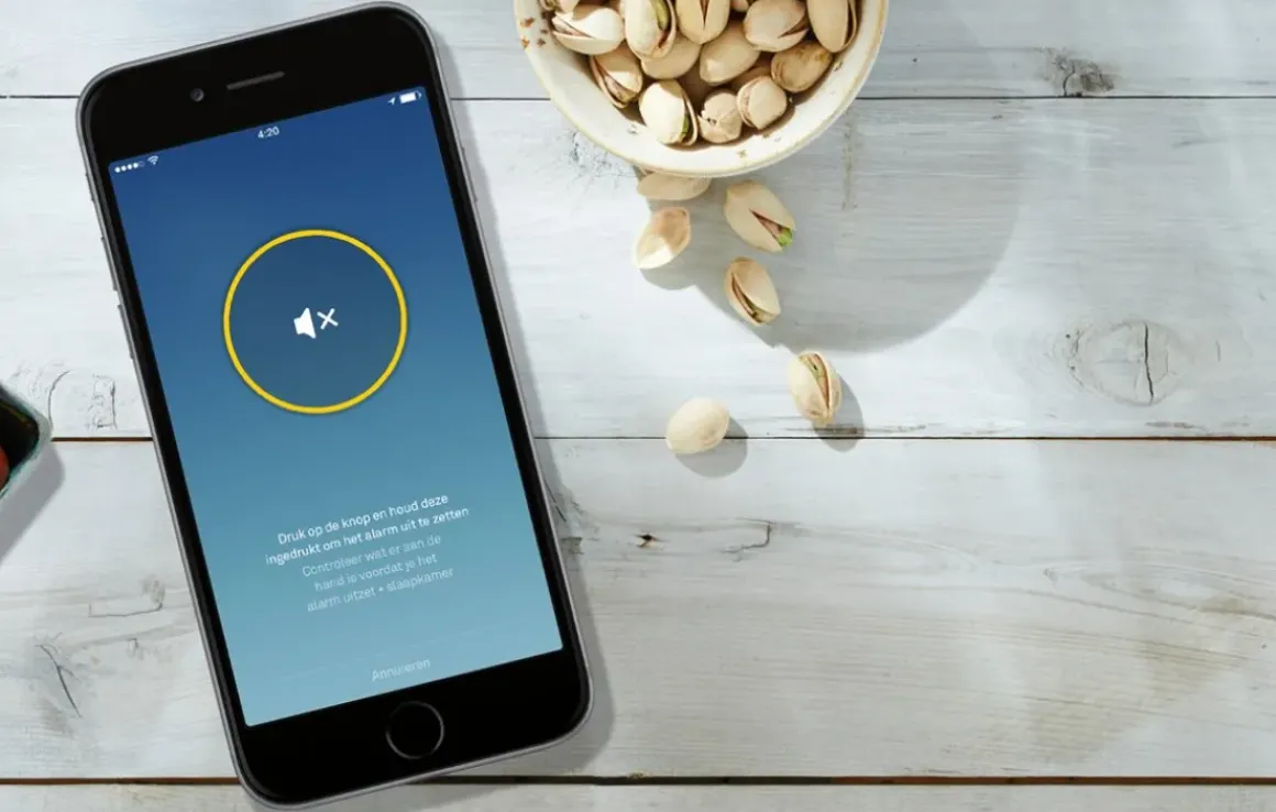 Google Nest Rook- En Koolmonoxidemelder Protect + Batterij