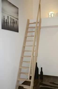 Handystairs Molenaarstrap "Torino" Inclusief Leuning - 62 Cm Breed - 280 Cm Hoog - 13 Grenen Treden
