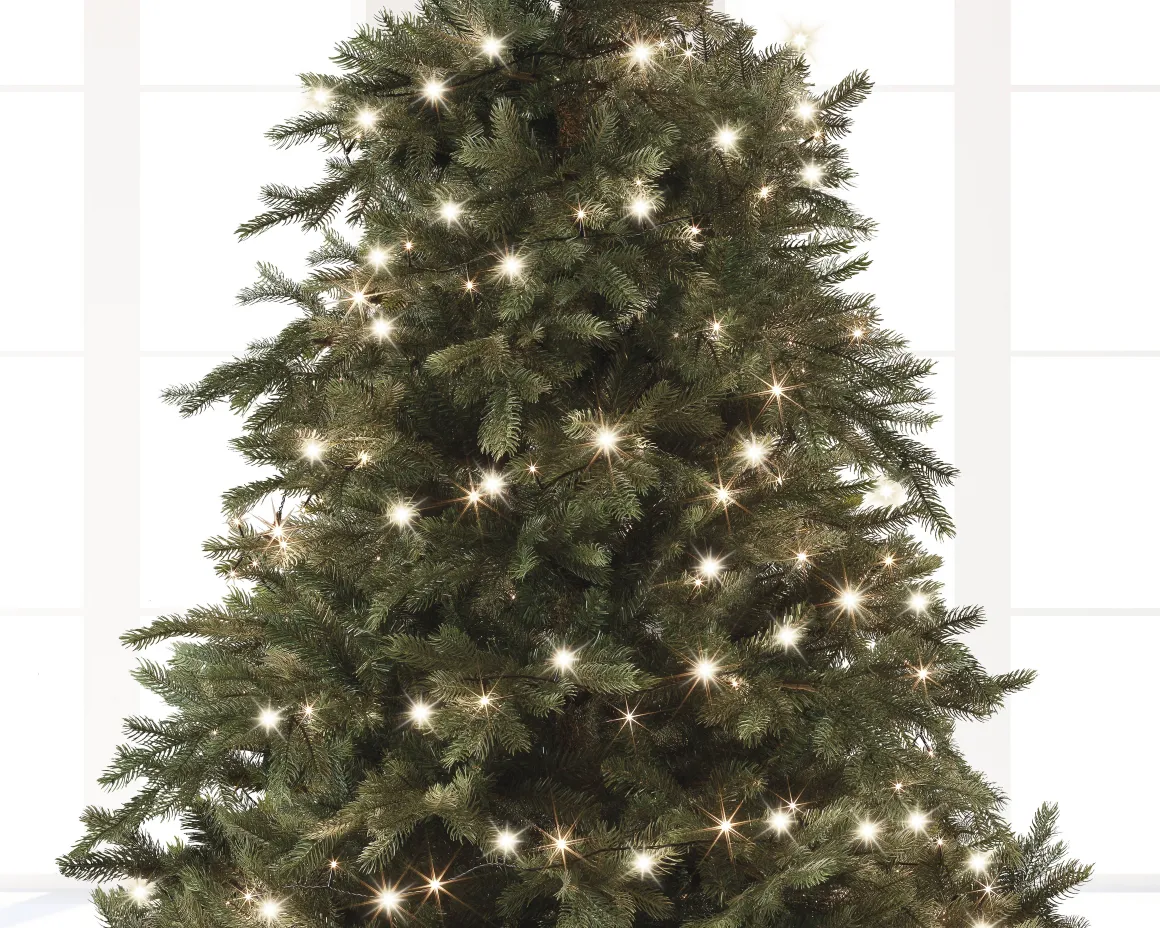 Kerstverlichting (Lumineo) Basic Twinkle 80 Led Lampjes Warm Wit 6M