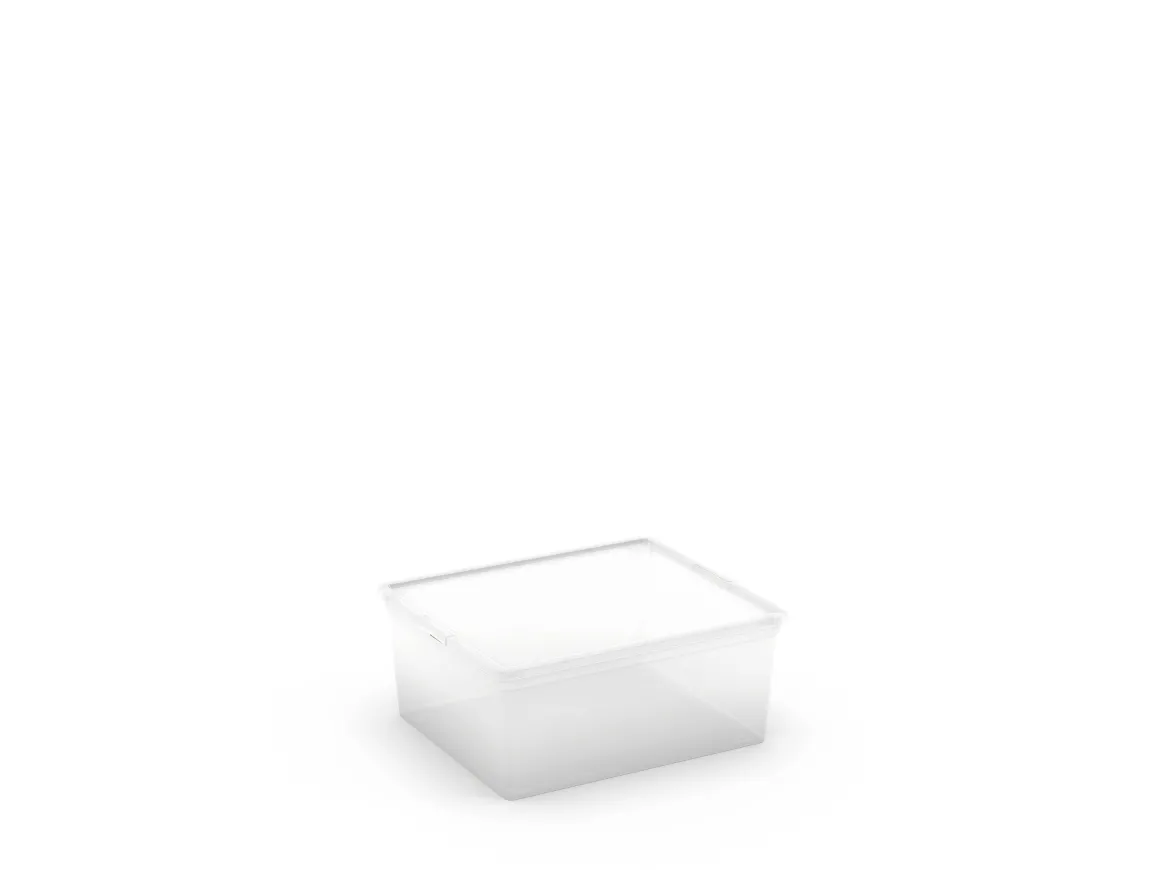 Kis C-Box Opbergbox M Transparant 18L