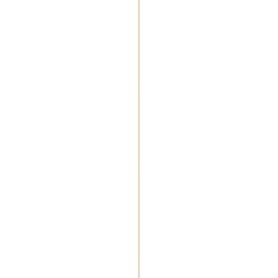Mdf-Paneel Wit Gelakt 3Mm 122X61Cm