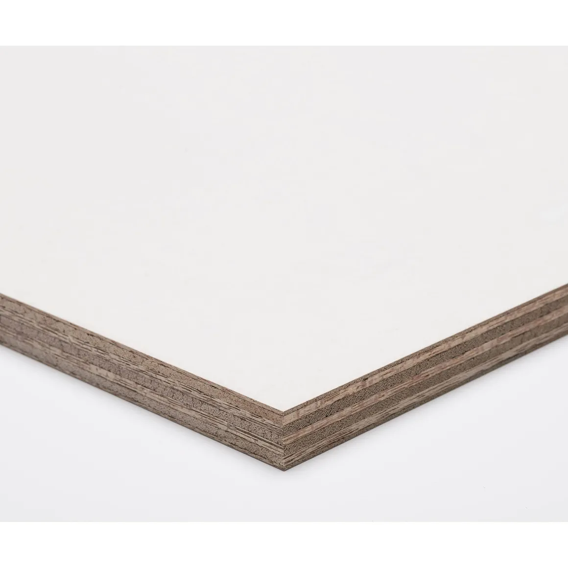 Paintplex Multiplex Plaat 122X244Cm 12Mm