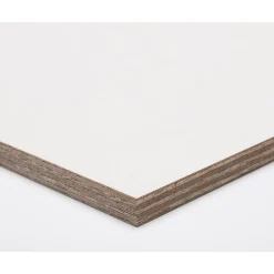 Paintplex Multiplex Plaat 122X244Cm 18Mm