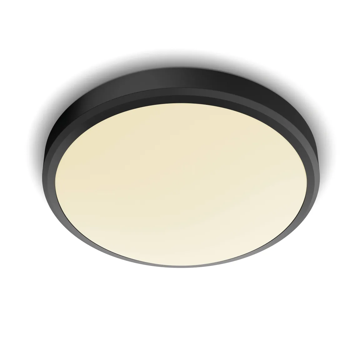 Philips Plafondlamp Doris Zwart O31,3Cm 17W